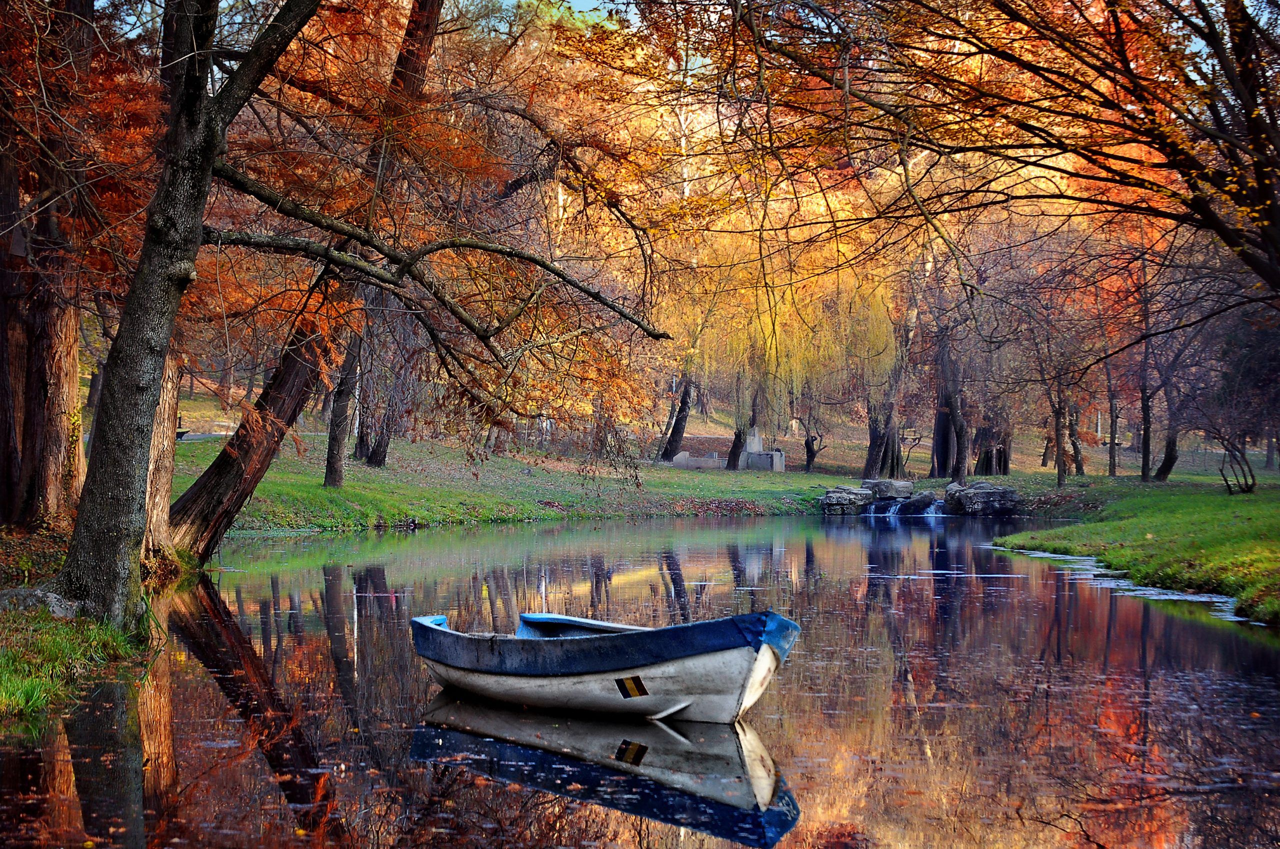 A peaceful image of a white and blue row boat near the shore of a pond, surrounded by trees that are changing colors for fall.