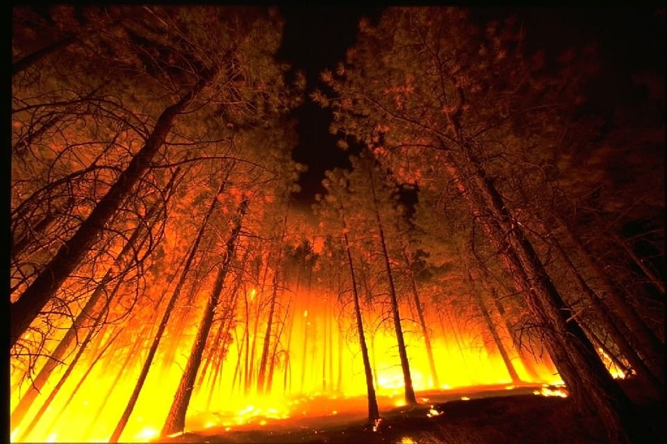 California suffers its most destructive forest fire