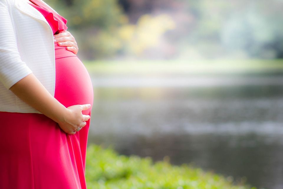 More on the dangers of air pollution in pregnancy