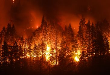 Covid-19 complicates an already difficult wildfire season