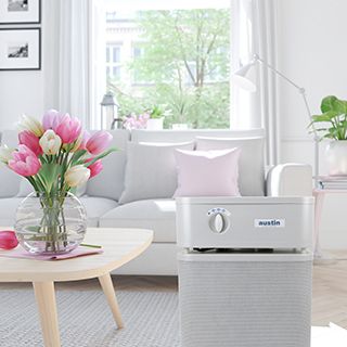 Misconceptions Surrounding Air Purifiers