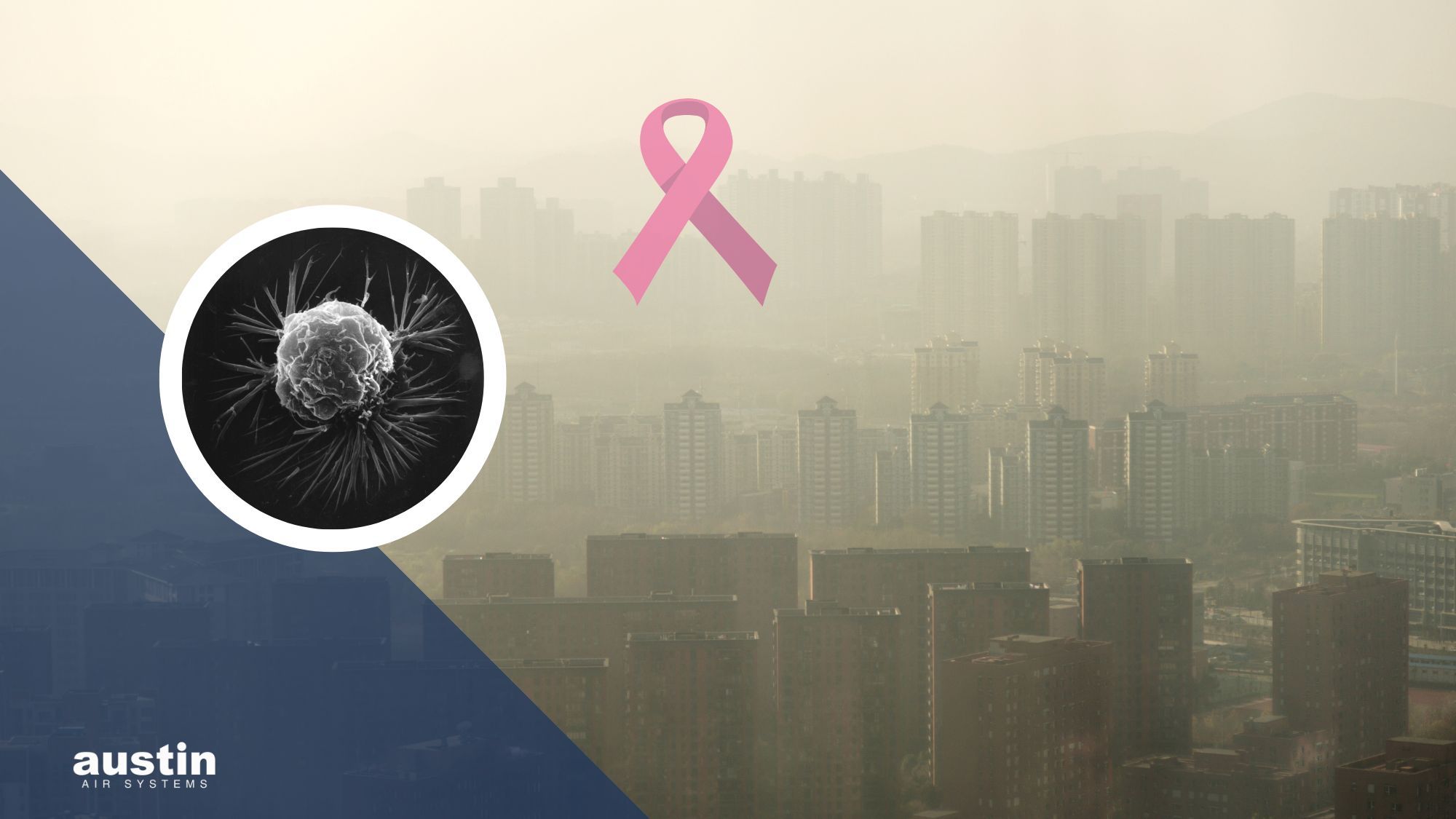Breast Cancer and Air Pollution—Is There a Link?