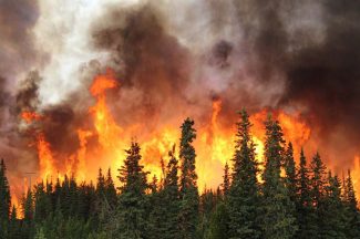 Wildfires Have Reversed Twenty Years of Clean Air Progress