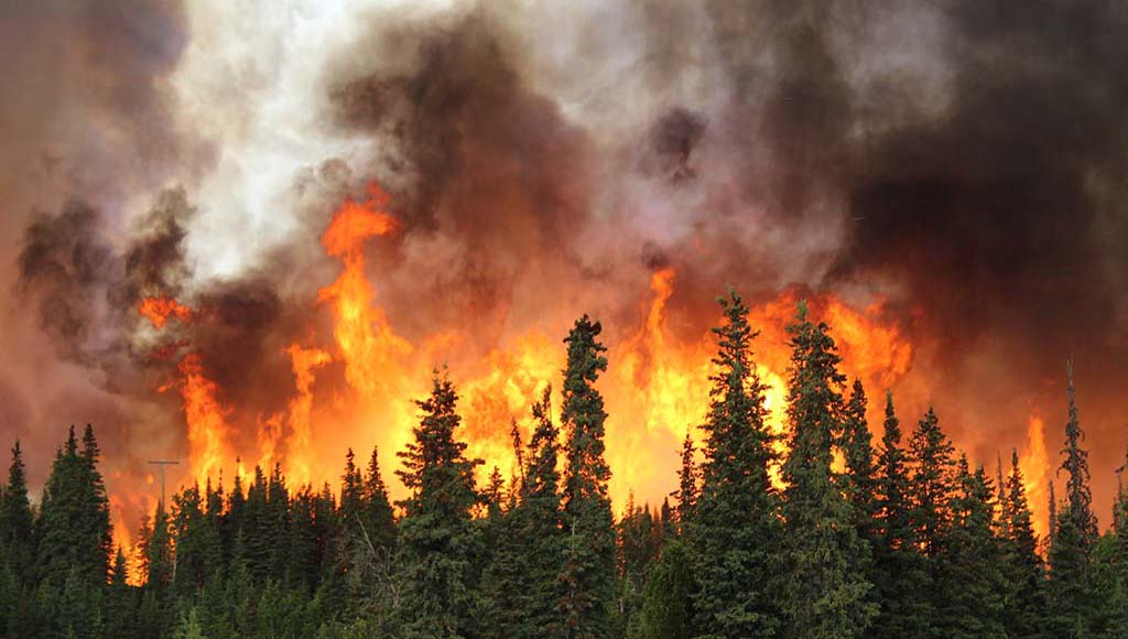 Wildfires Have Reversed Twenty Years of Clean Air Progress