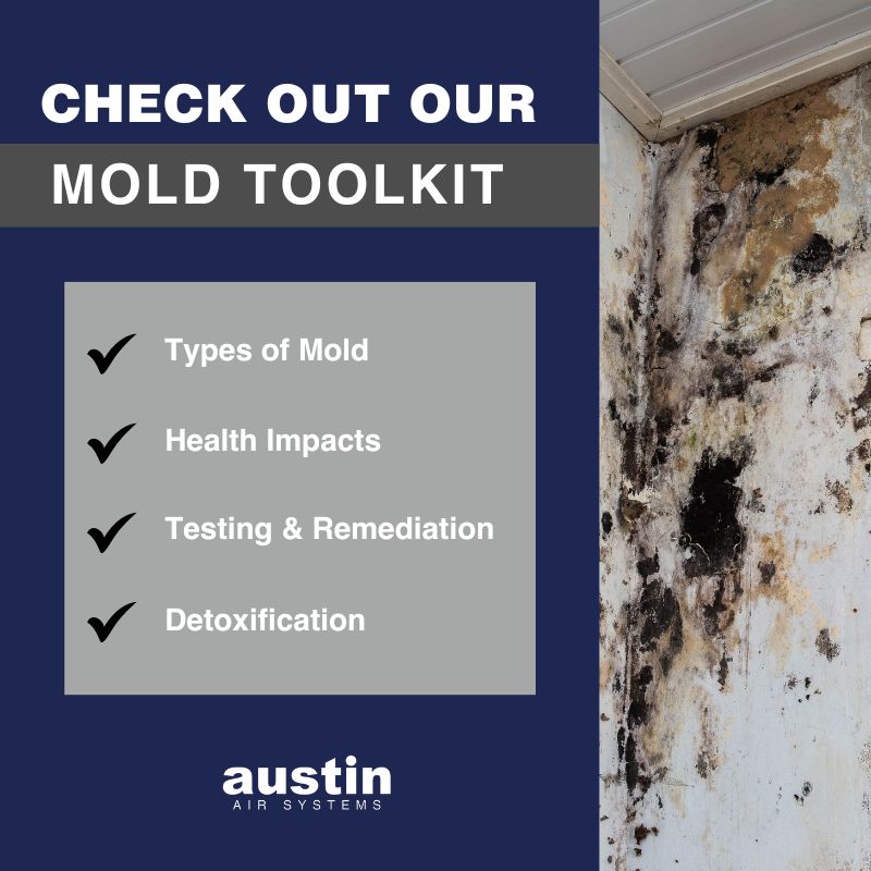 The Austin Air Mold Toolkit includes information about the types of mold, health impacts, testing and remediation, as well as detoxification.