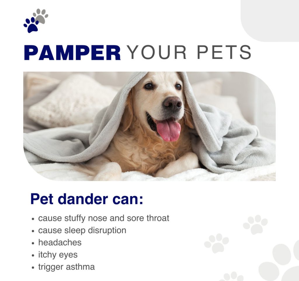 Pet dander can be an irritant and an allergen. Consider bathing your pets more frequently for relief from allergies.