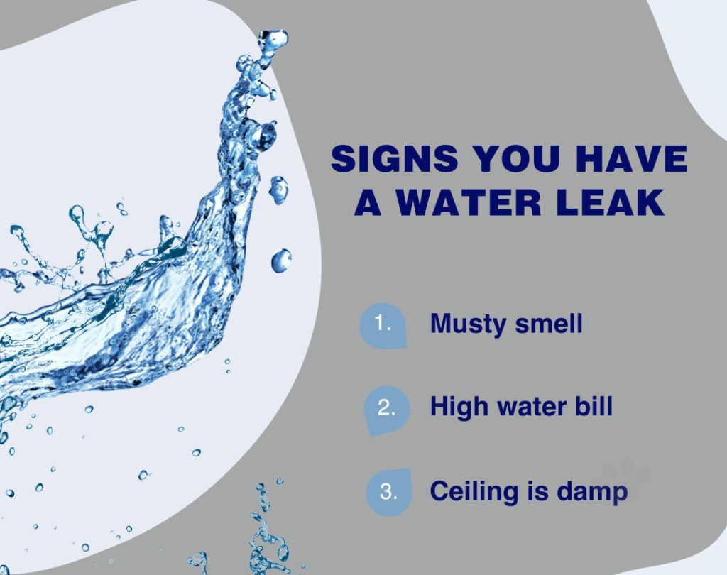 Signs you have a leak include a musty smell, high water bills, and a damp ceiling or drywall.