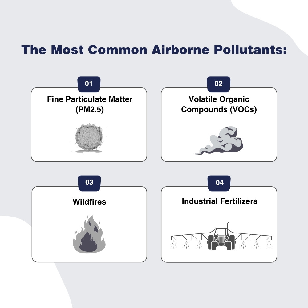 The most common airborne pollutants are fine particulate matter (PM2.5), volatile organic compounds (VOCs), wildfires, and industrial fertilizers.