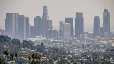A daytime photo of downtown Los Angeles with some palm trees in the front left corner. The view is obstructed by a haze of smog.