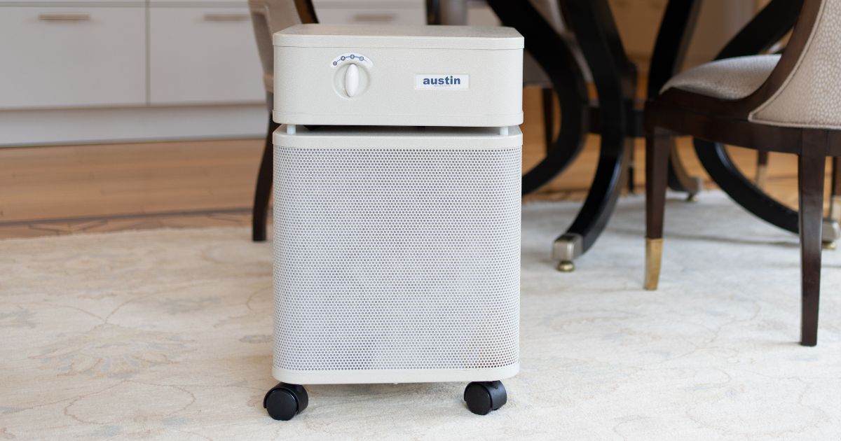 Breathing Easy? Assess Your Need for Air Purifiers