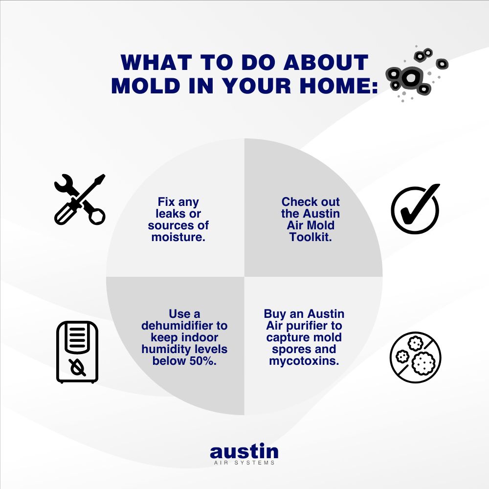 Infographic about “What to do about mold in your home”, written in royal blue, with the advice in a circle with four parts (almost like slices of a pizza) in two different, very light shades of blue. There is clip art next to each “slice” of advice (going clockwise from the top left): fix any leaks or sources of moisture (with a screwdriver and wrench in black next), check out the Austin Air Mold Toolkit (with a check mark in a circle), buy an Austin Air purifier to capture mold spores and mycotoxins (with spores in an “anti” circle), and use a dehumidifier to keep indoor humidity levels below 50% (with a black line drawing of a dehumidifier). The words: “Austin Air Systems” are located in the bottom center in royal blue.