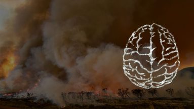 A scene of a forest fire from afar - it is darkish, with brown smoke filling the sky and flames visible among trees on the horizon. A white outline drawing of a brain overlays the right side of the image, it is a top view of the brain which is automatically correct.