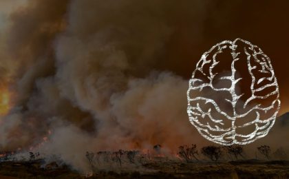 A scene of a forest fire from afar - it is darkish, with brown smoke filling the sky and flames visible among trees on the horizon. A white outline drawing of a brain overlays the right side of the image, it is a top view of the brain which is automatically correct.