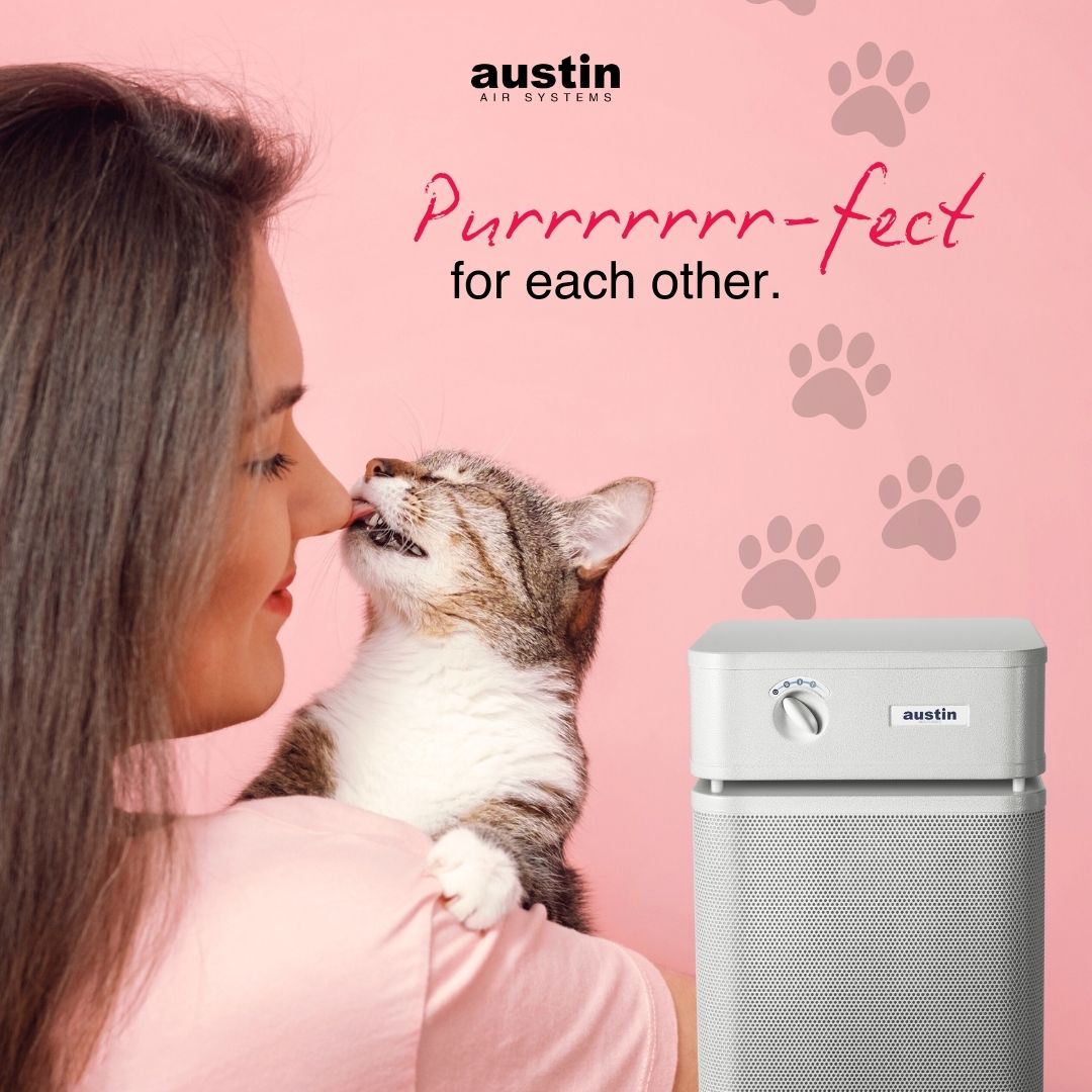 An Austin Air-themed Valentine with a smiling woman holding onto a cat who is sweetly licking her nose with an Austin Air purifier on the right. Text on top says: “Purrrrrrrrrrr-fect for each other.” 