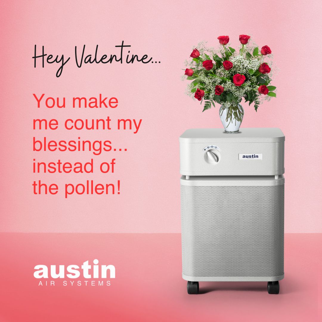 An Austin Air-themed Valentine which has a bouquet of red roses on top of an Austin Air purifier. To the left of the image it says: “Hey Valentine… you make me count my blessings instead of pollen!”