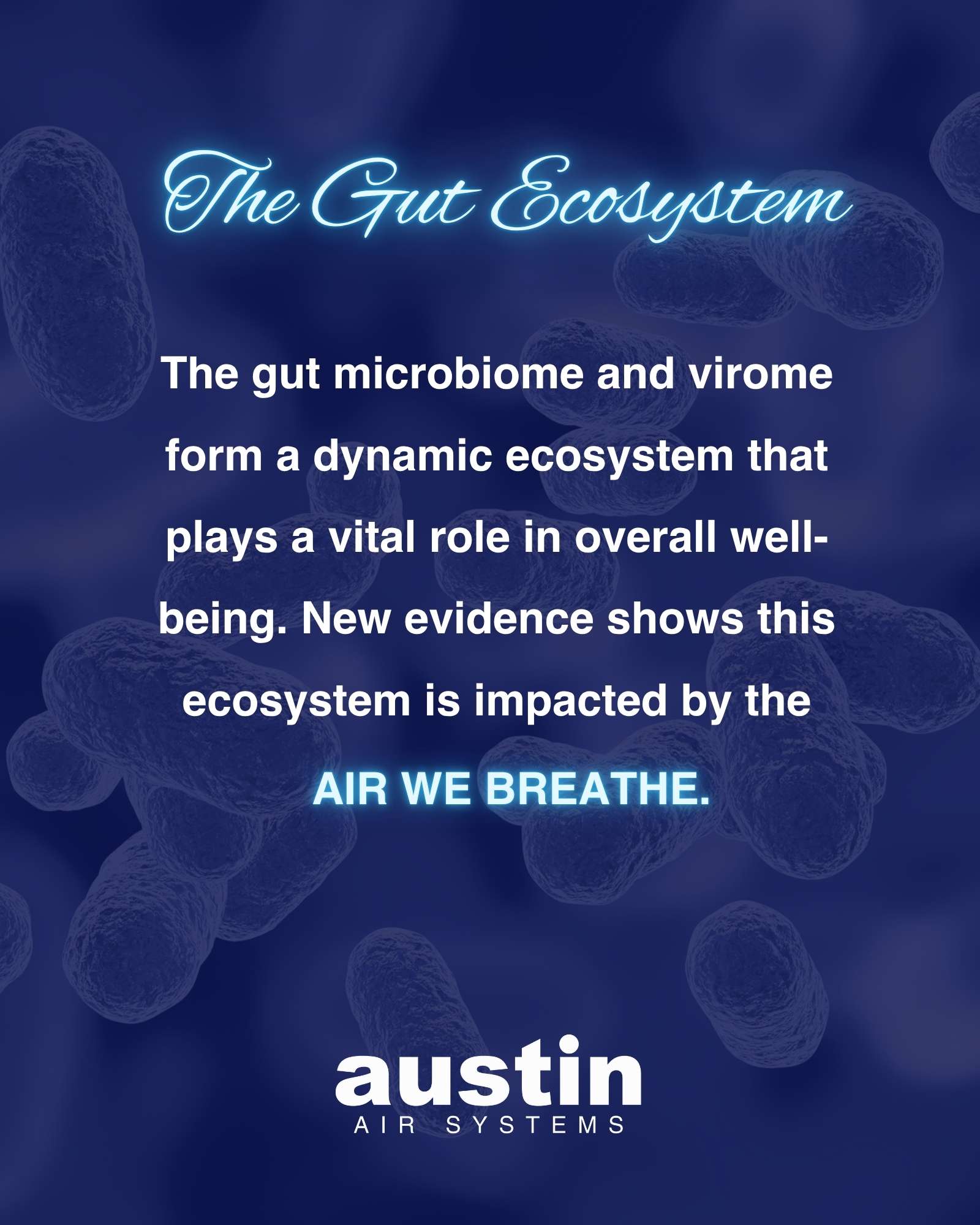 Graphic which states: “The gut microbiome and virome form a dynamic ecosystem that plays a vital role in overall well-being. New evidence shows this ecosystem is impacted by the air we breathe.”