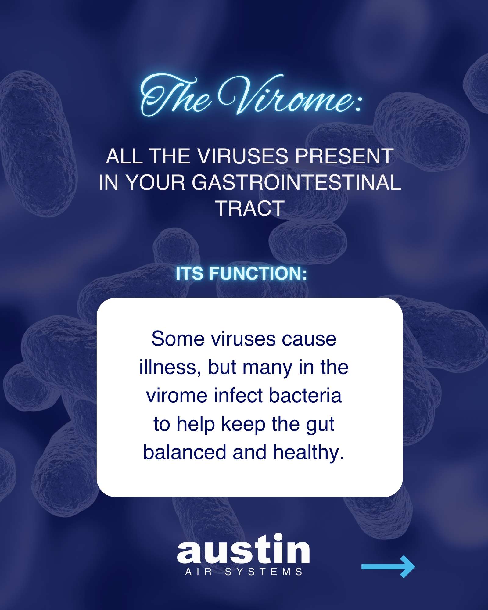 A graphic synthesizing the information from the article about the virome, all the viruses present in your gastrointestinal tract, which also help your body to function.
